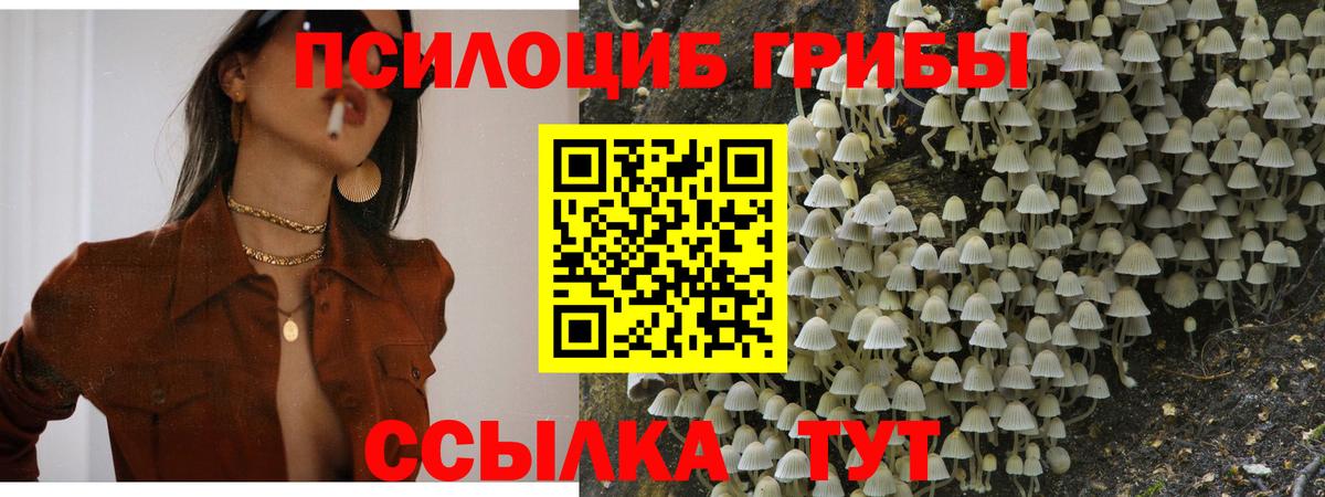 Галлюциногенные грибы прущие грибы  Вход с VPN  Галлюциногенные грибы Psilocybe  Клинцы 